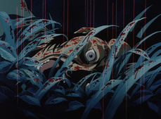 Ninja Scroll